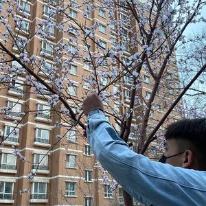 日本❌❌❌❌❌18
